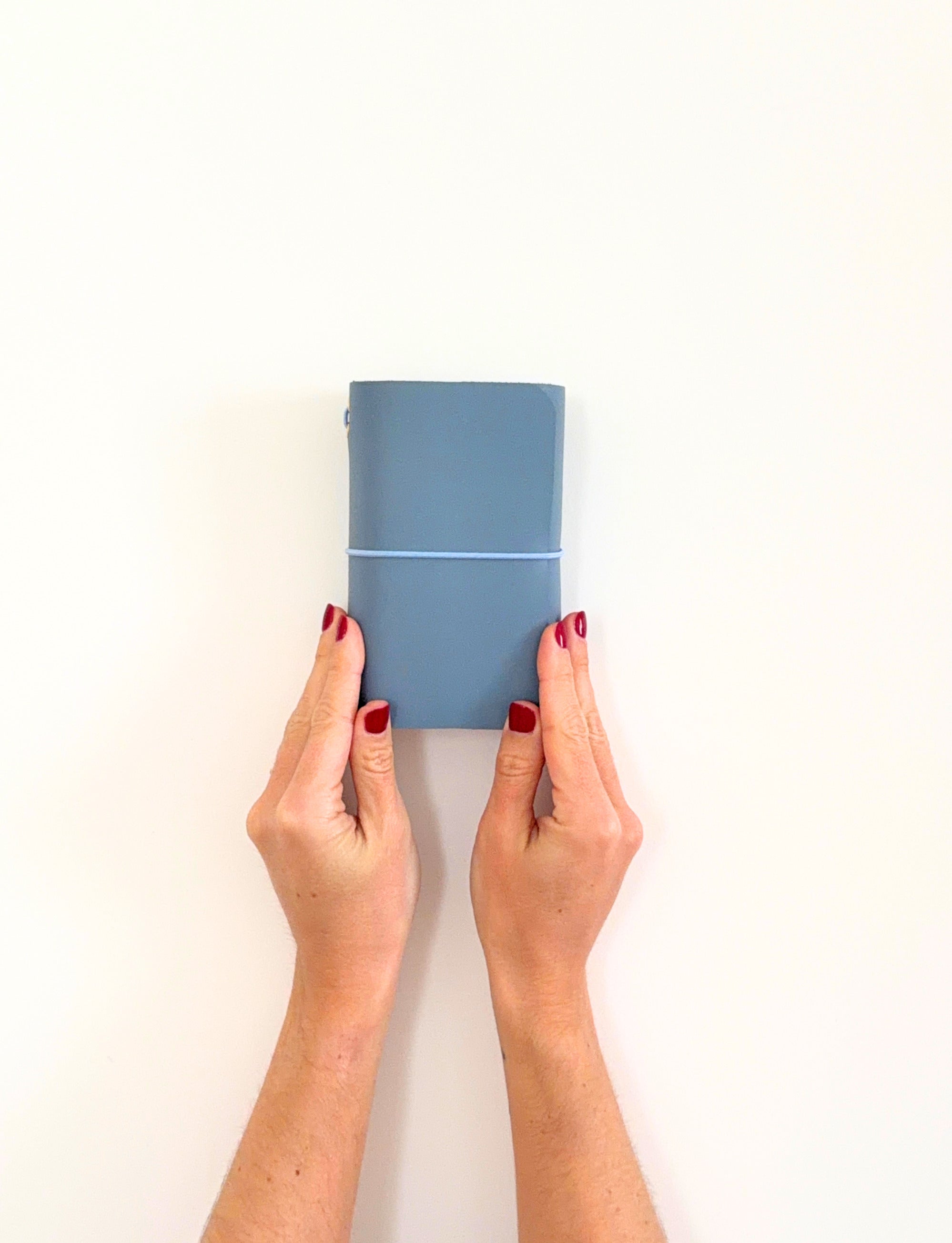 Everbound Funda de piel modular para pasaporte | Travel Everbound